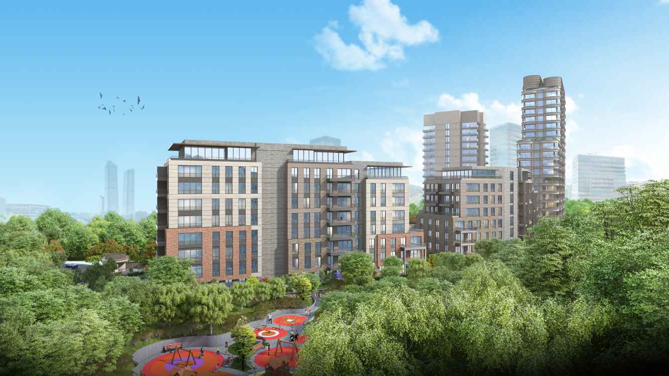 invest vadi project11