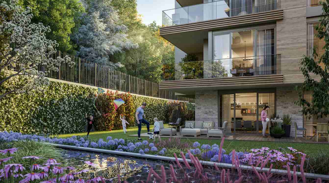 mesa orman project7