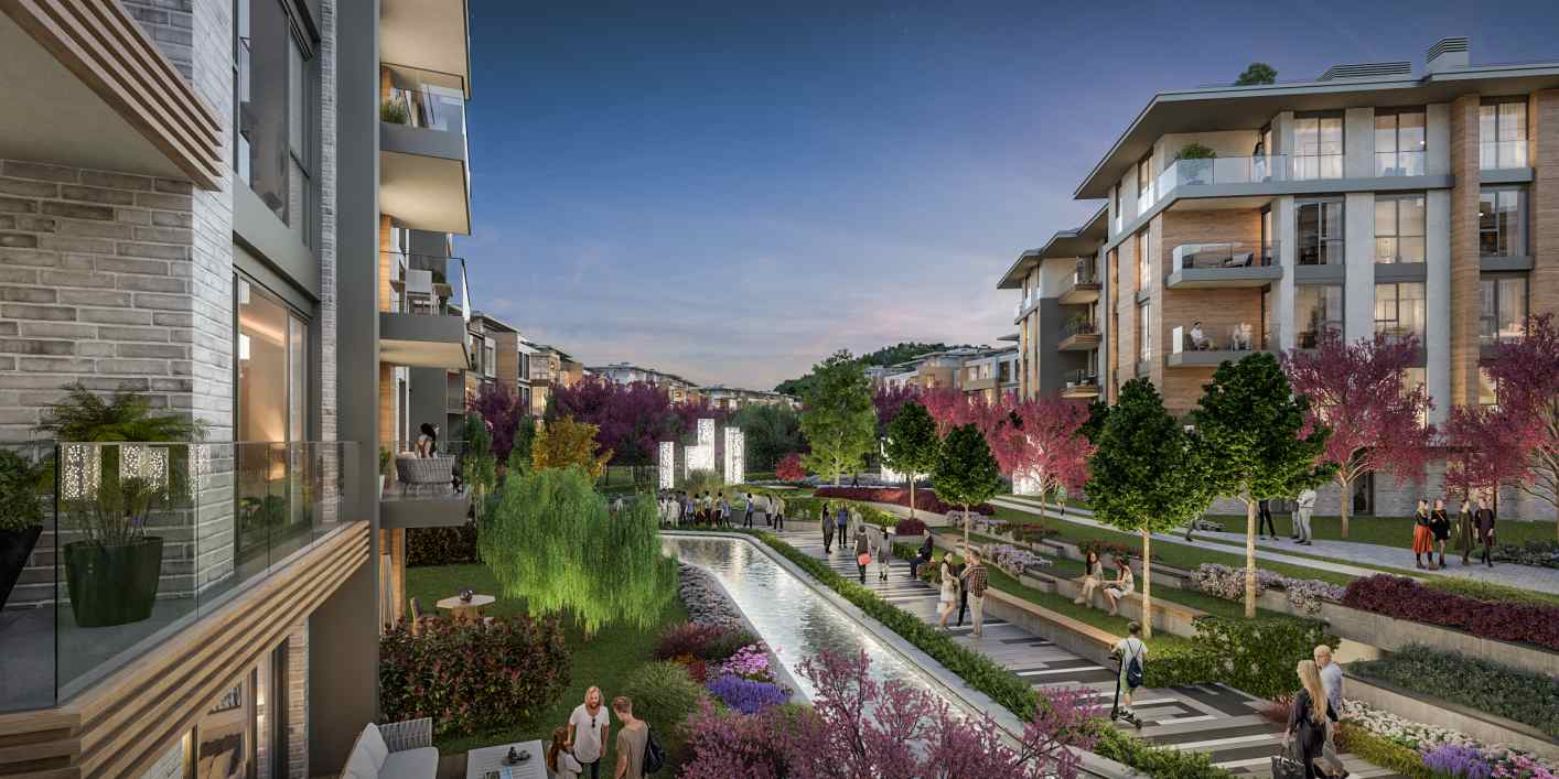 mesa orman project6