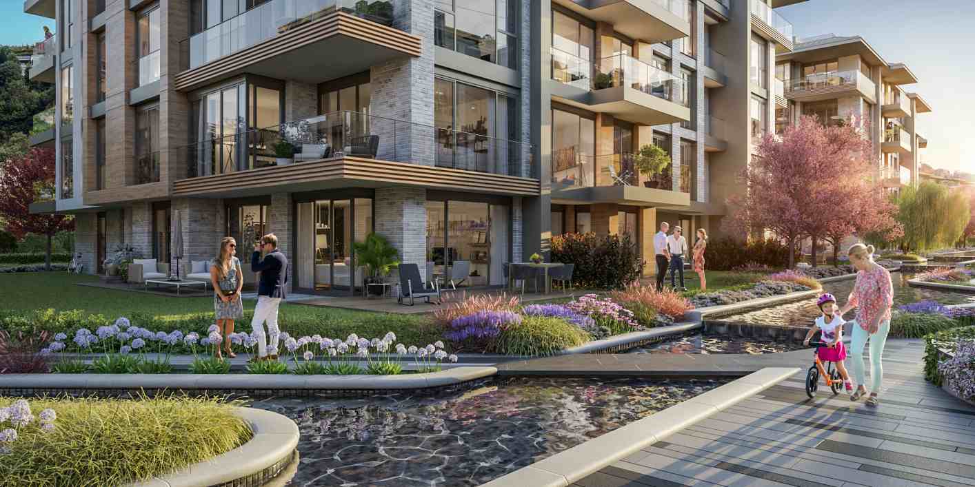 mesa orman project3