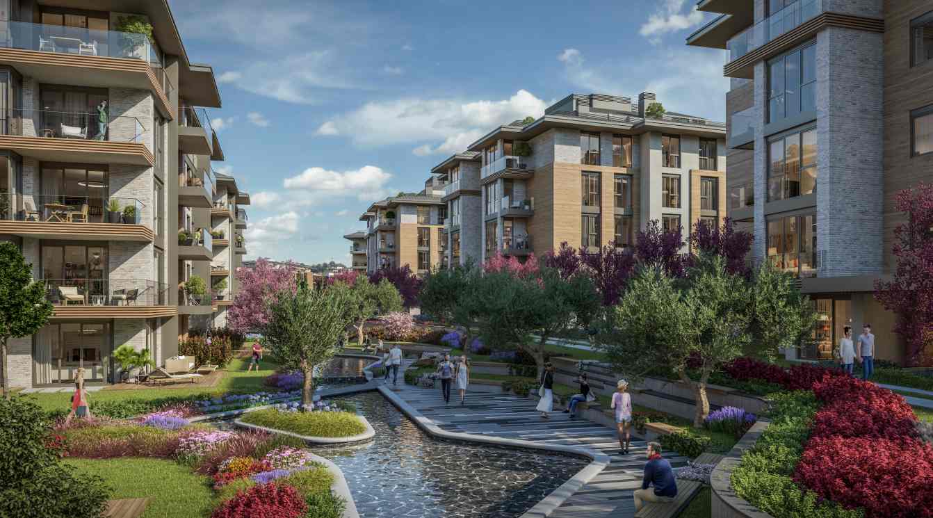 mesa orman project2