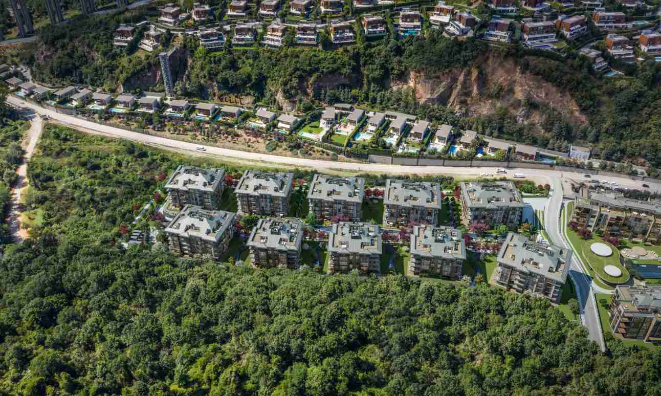 mesa orman project